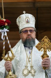 jarek11