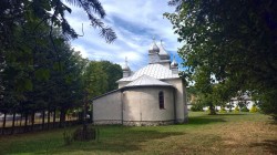 jarek