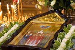 jarek11 
 First anniversary of the canonization of the Katyń Martyrs, Warsaw, September 17, 2026