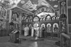 Radivoj 
 ХРАМ СВ САВА  ЕЛАНОРА  Сиднеј 