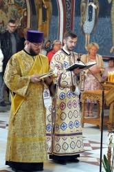 jarek1