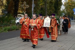 jarek11