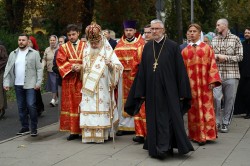jarek11