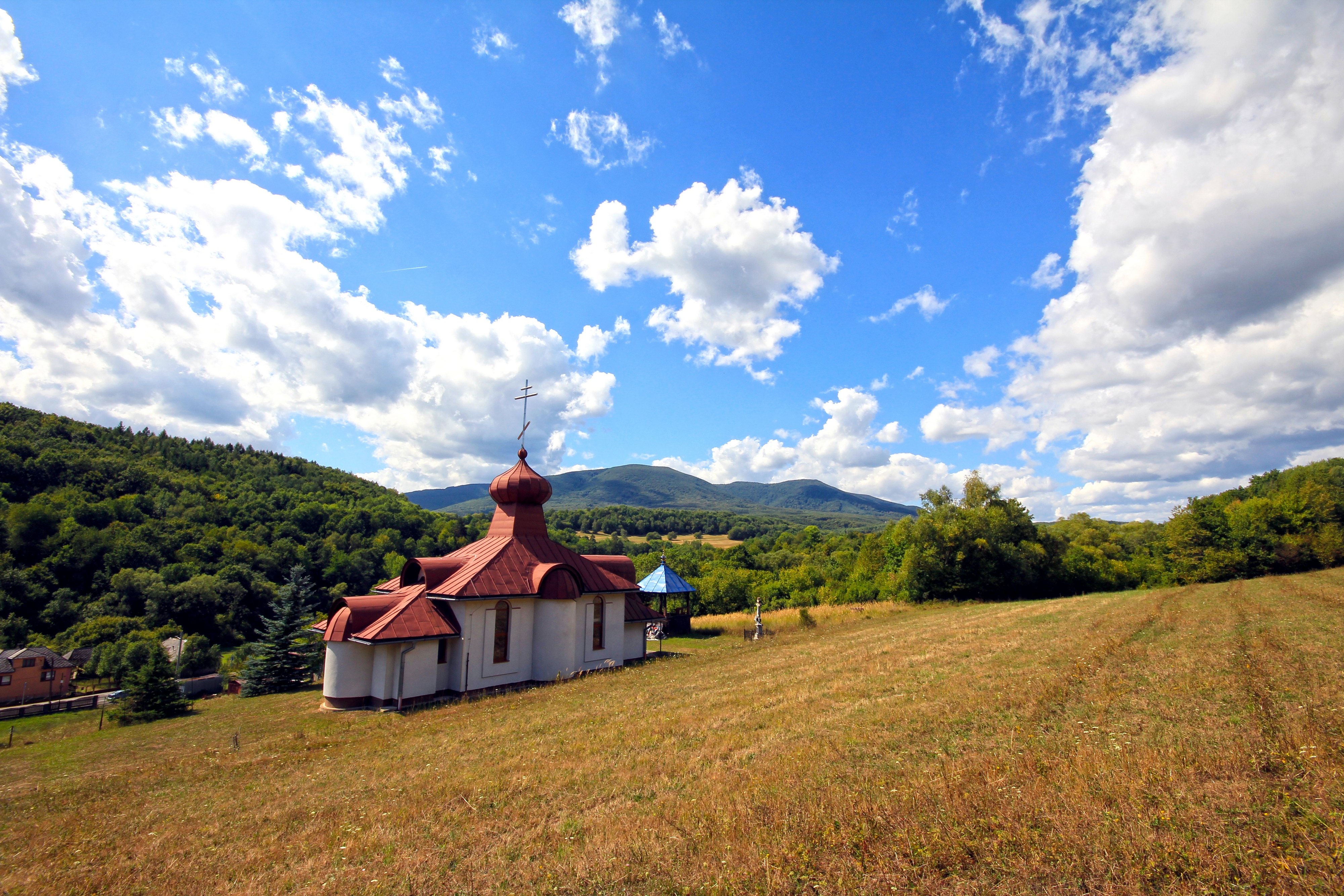 The Protection of the Mother of God Orthodox church in Ladomirov village