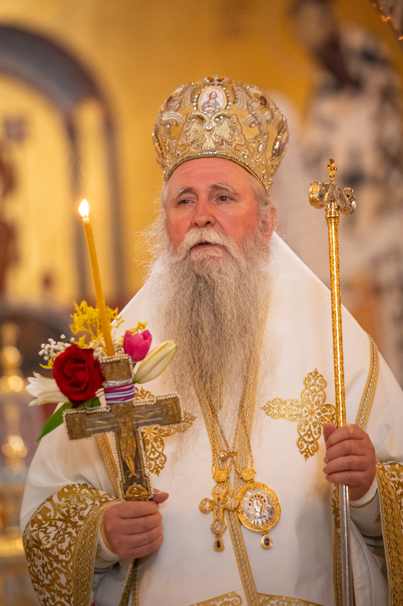 Metropolitan Joanikje