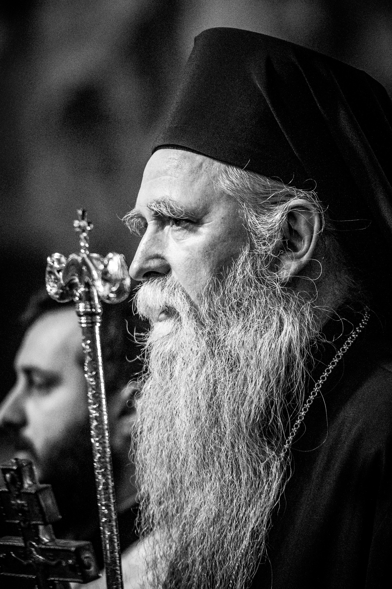 Metropolitan Joanikje