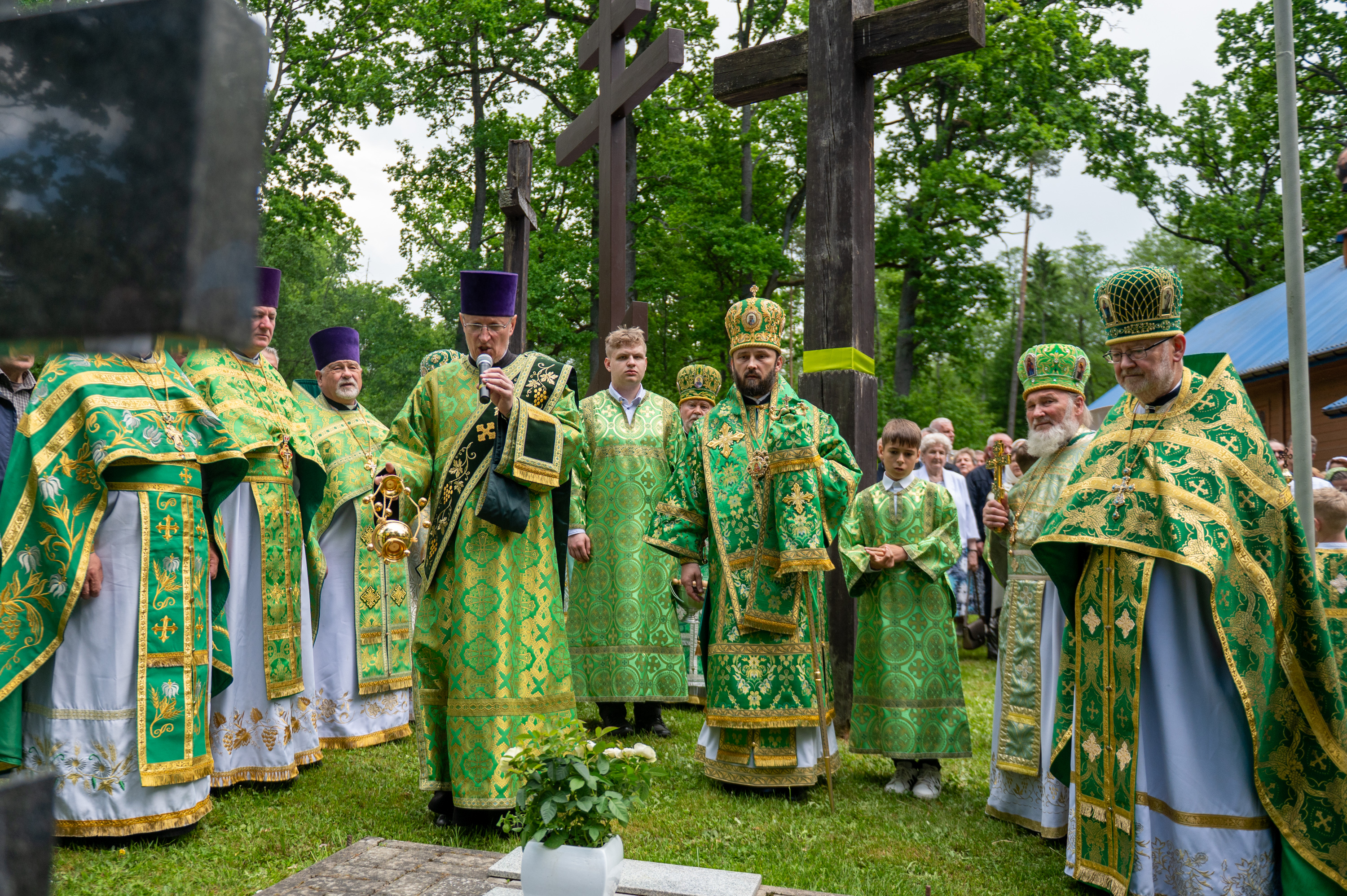 Krynoczka