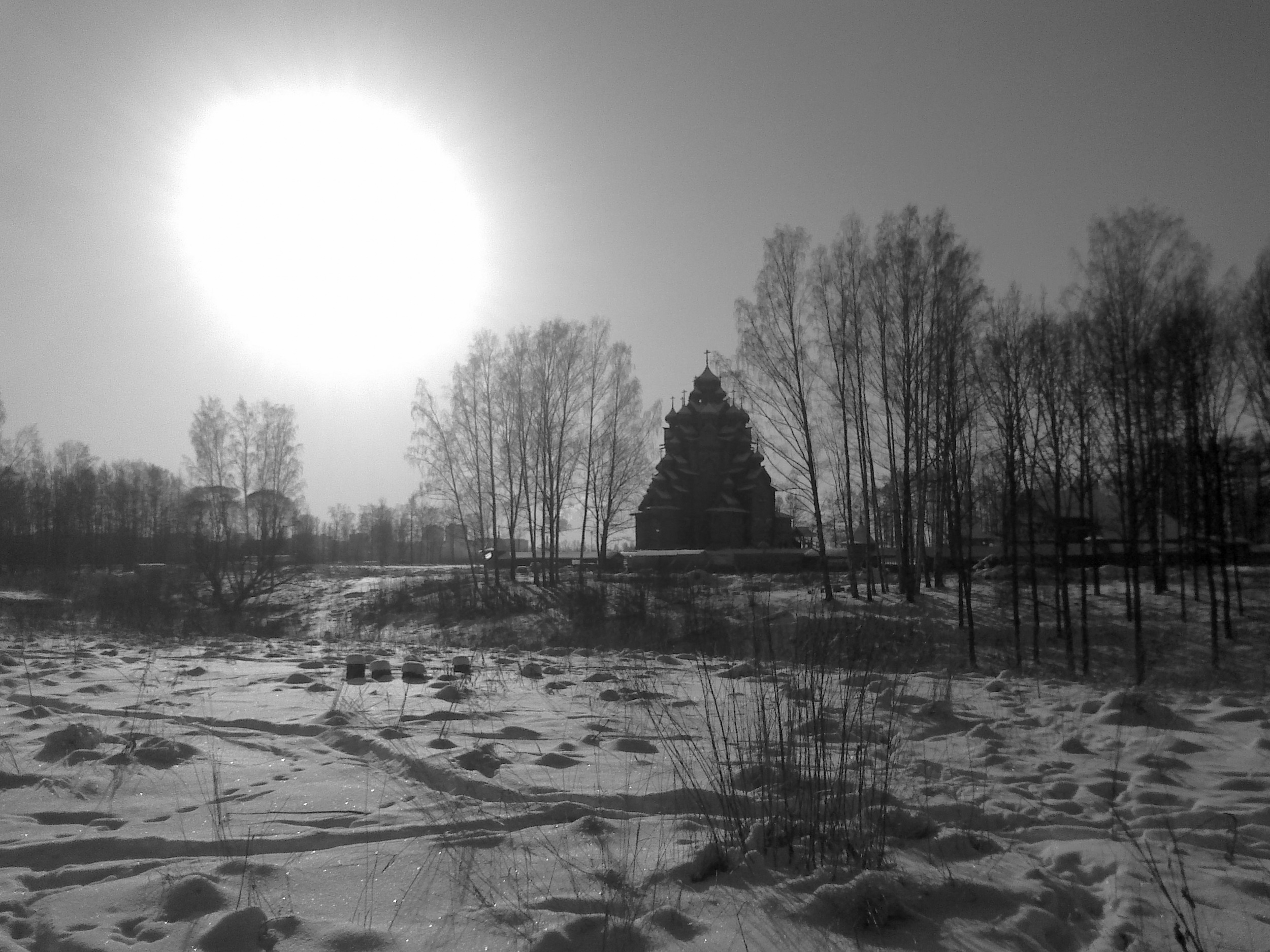 Покровская церковь в Невском лесопарке. 2011 г.