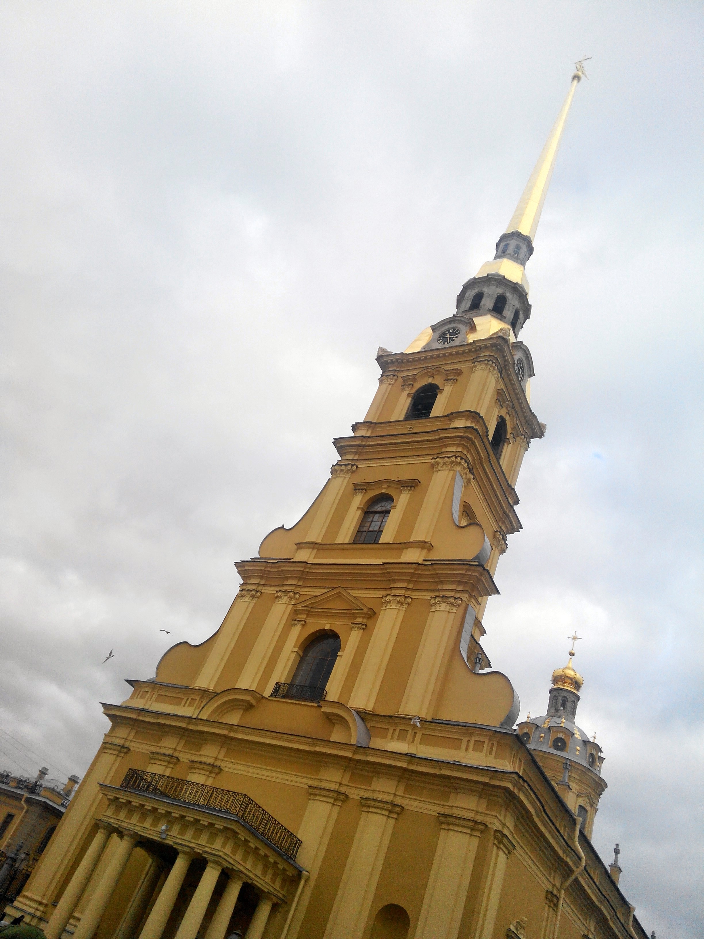 Петропавловский собор. 2015 г.