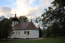 jarek