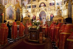 jarek11 
 First anniversary of the canonization of the Katyń Martyrs, Warsaw, September 17, 2026 