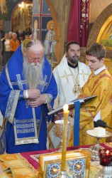 jarek1