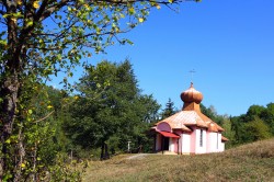 jarek