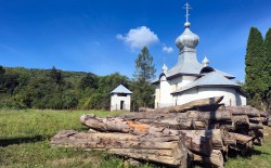 jarek