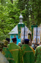 palavos 
 Krynoczka