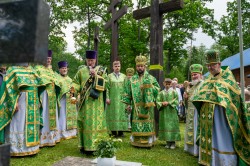 palavos 
 Krynoczka