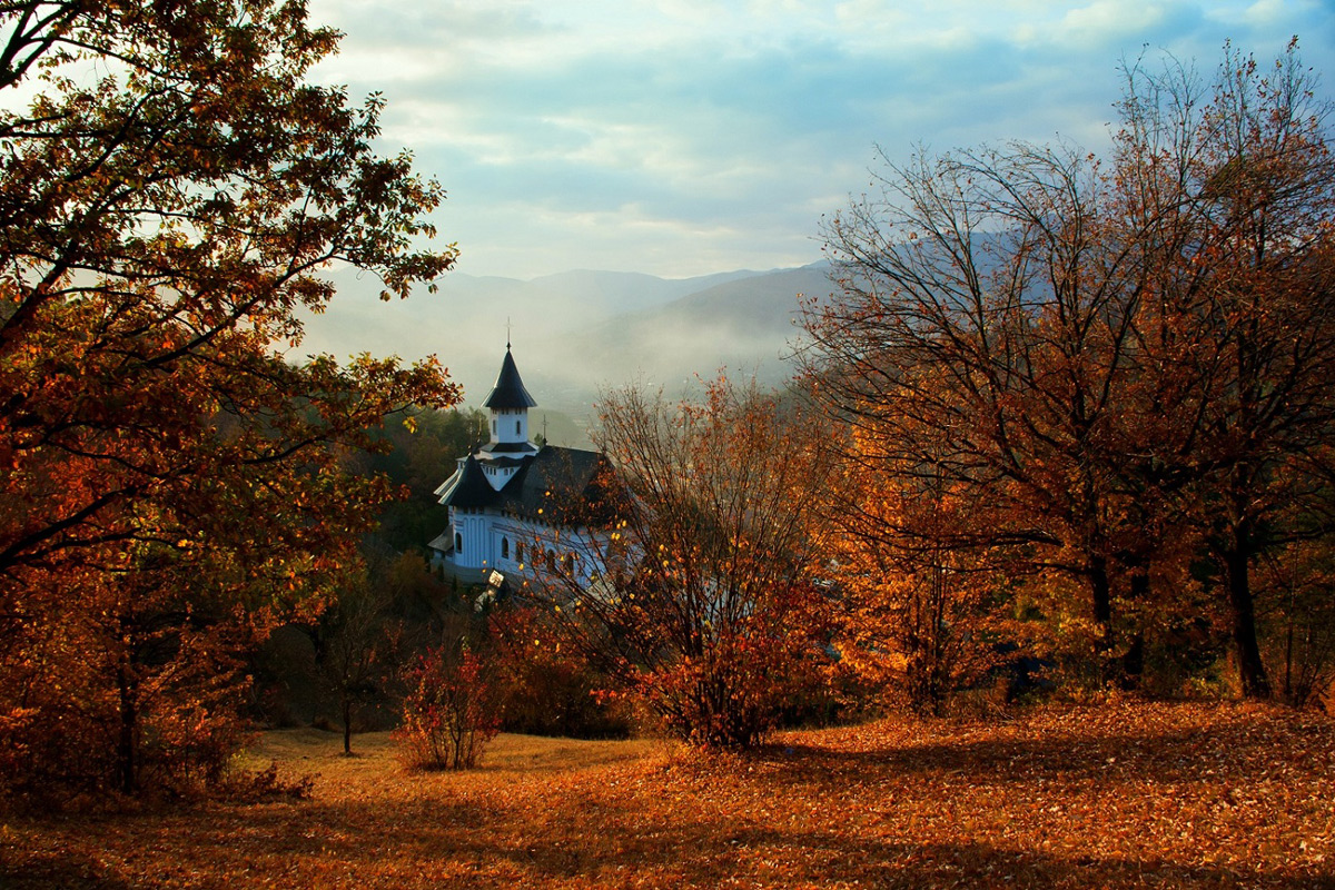 Autumn colours  