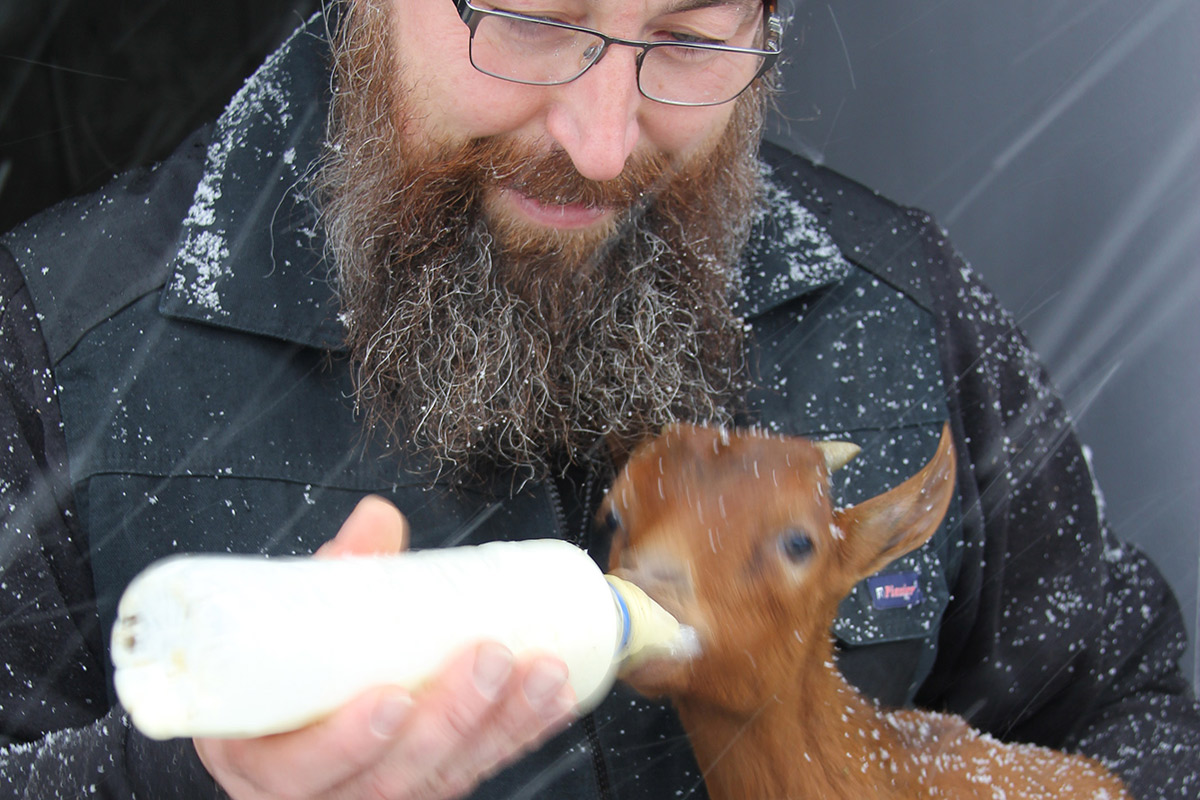 The care of small animals