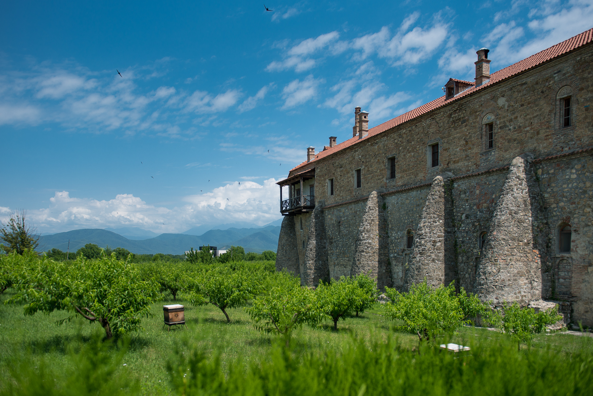 Monaster Alaverdi  
