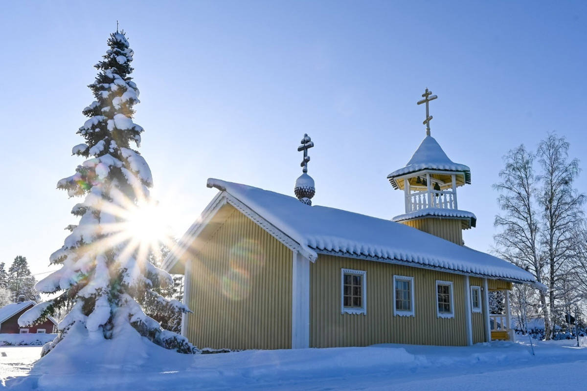  Winter sun 