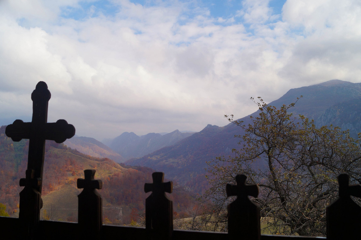 contemplating the heavens...