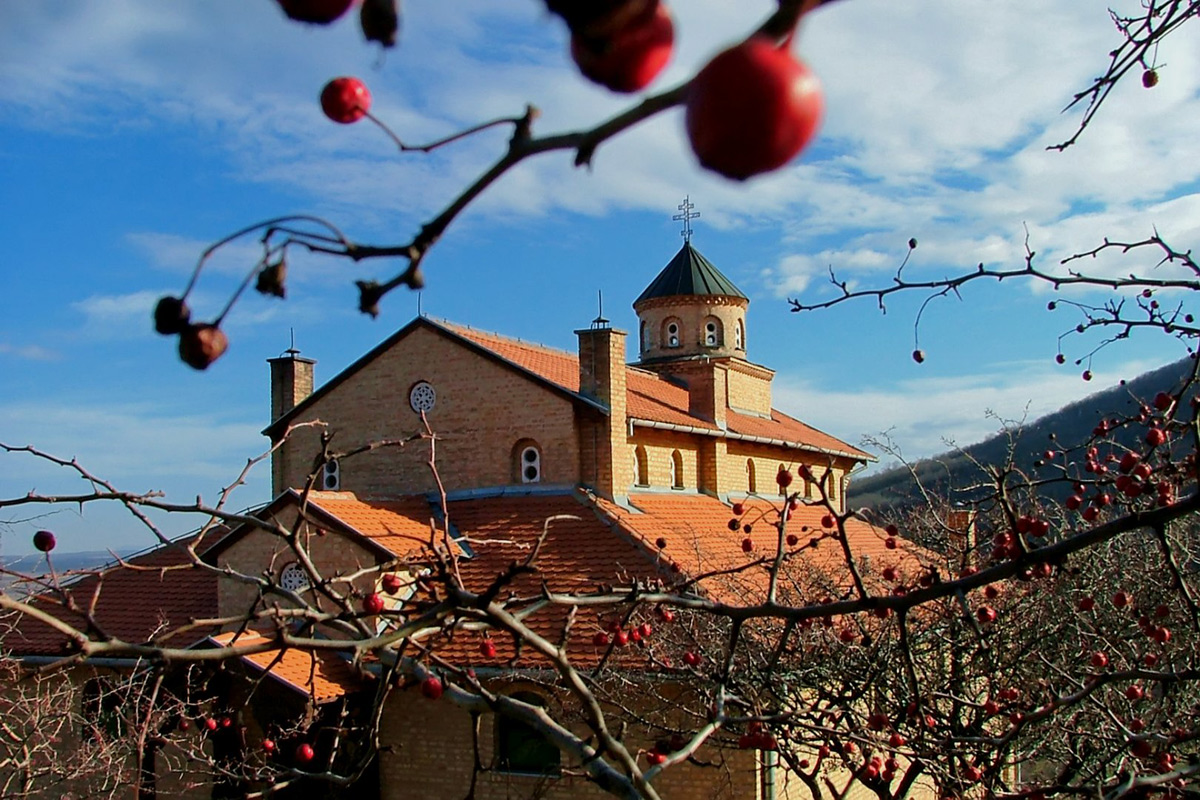 пролећни дан у зимско време  