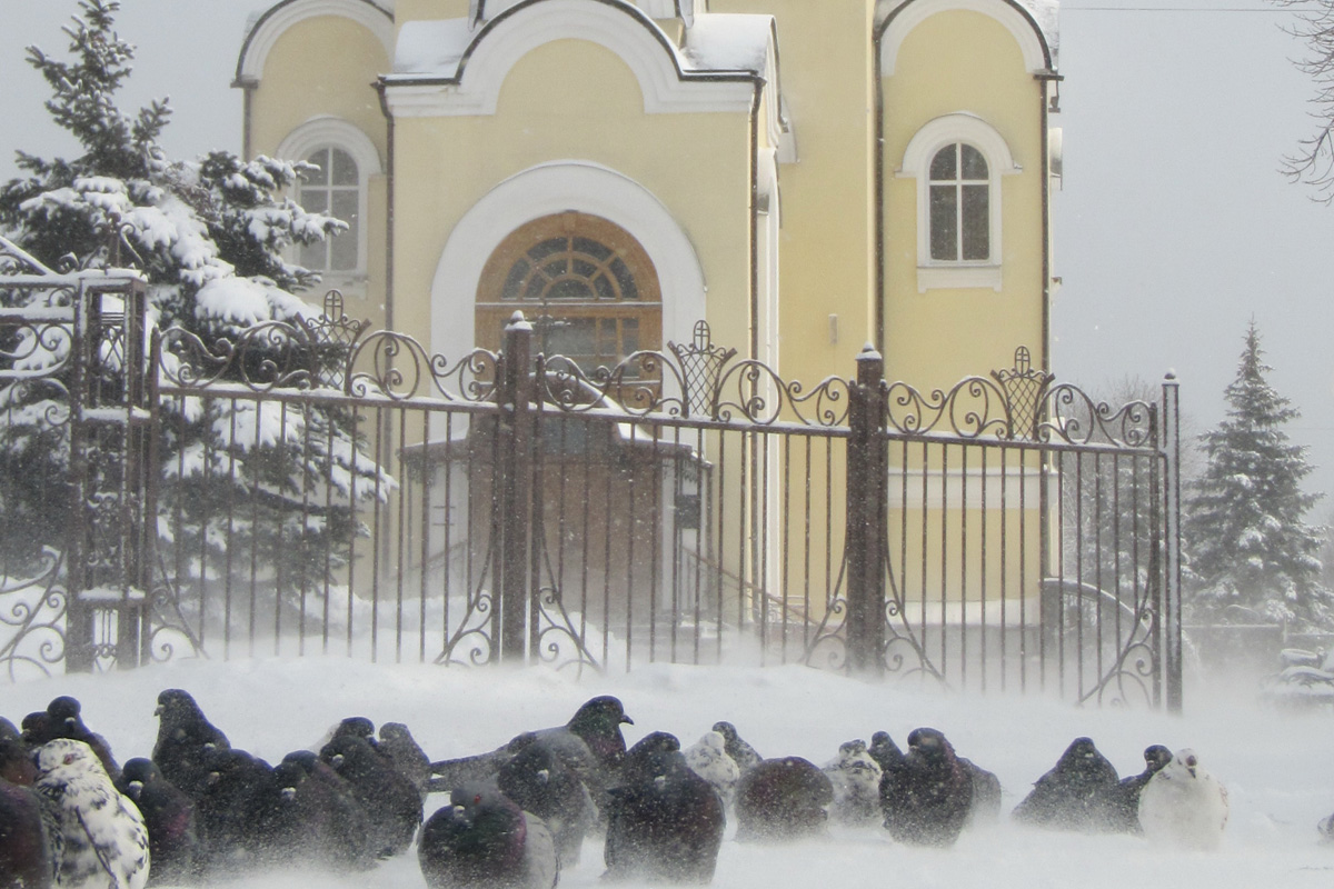 Свято-Владимирский храм     