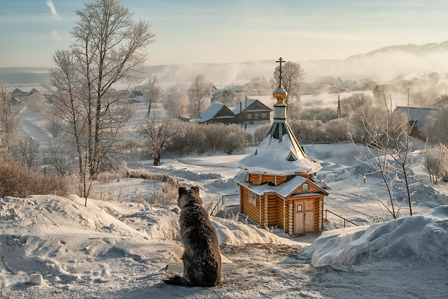 Утренний созерцатель  